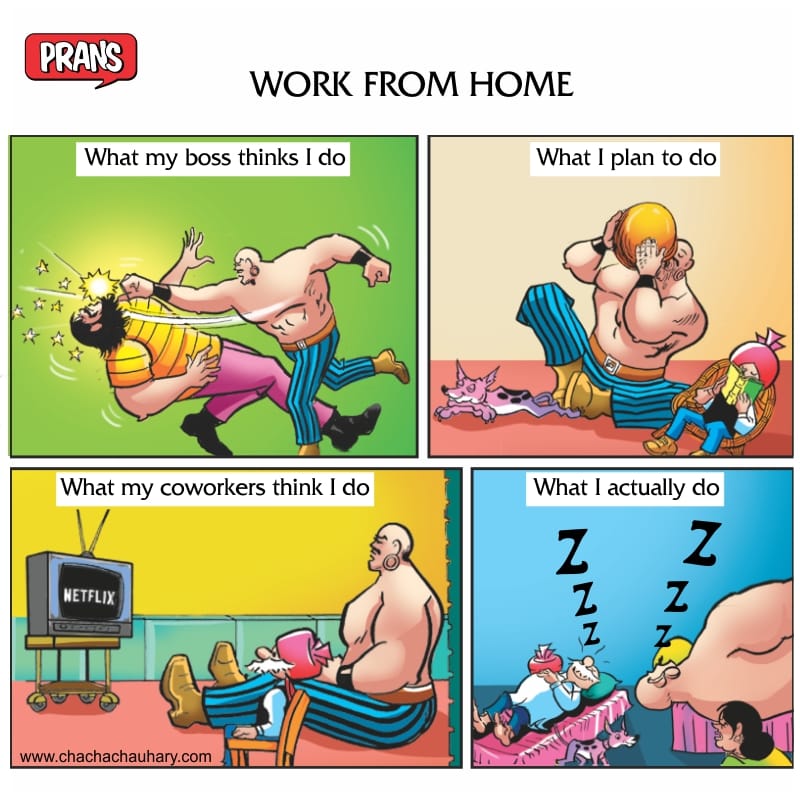 Chacha Chaudhary - Work From Home