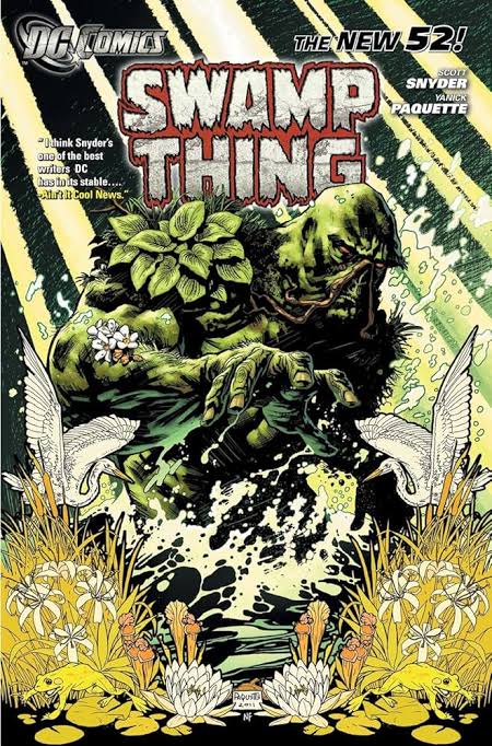 Swamp Thing - DC Comics - New 52