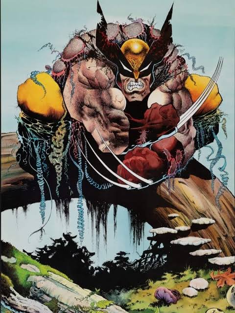 Wolverine By Sam Kieth